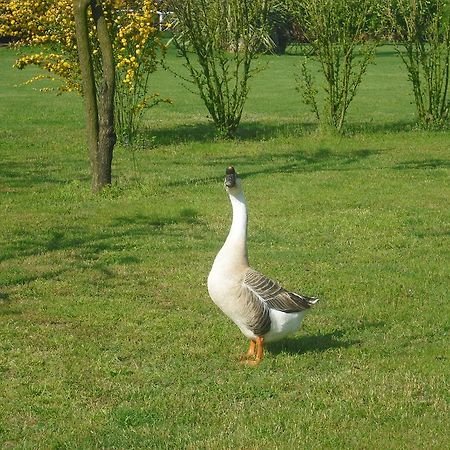 Campo San Martino Agriturismo La Penisola旅馆 外观 照片