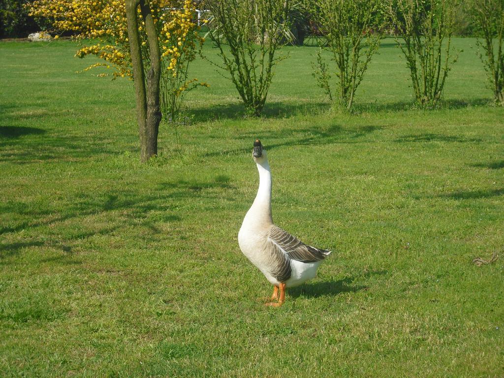 Campo San Martino Agriturismo La Penisola旅馆 外观 照片