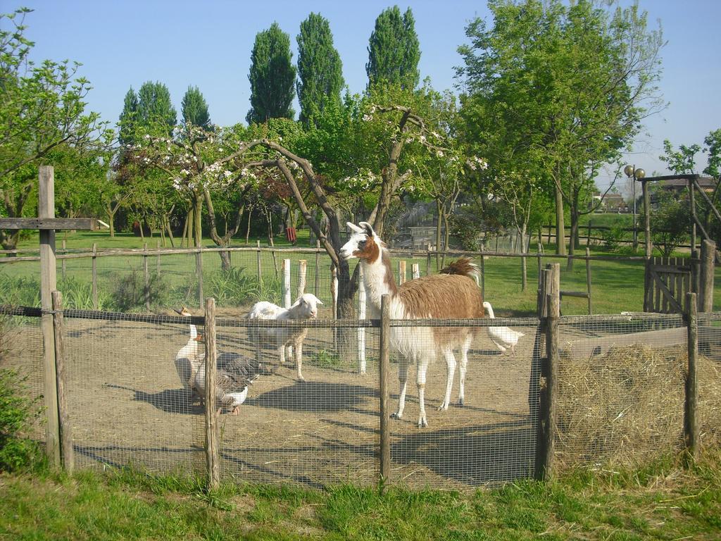 Campo San Martino Agriturismo La Penisola旅馆 外观 照片